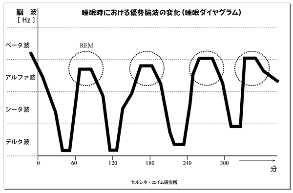 「睡眠脳波の測定／解析例」紹介ページに、図「睡眠時における優勢脳波の変化（睡眠ダイヤグラム）」を掲載しました。