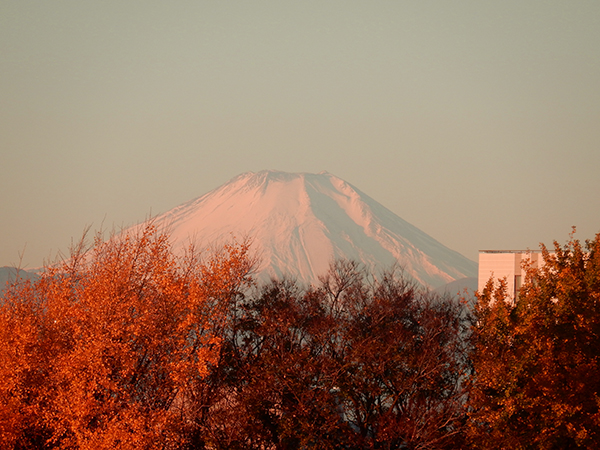 今朝の富士山。今日も宜しく！　東京・練馬より。