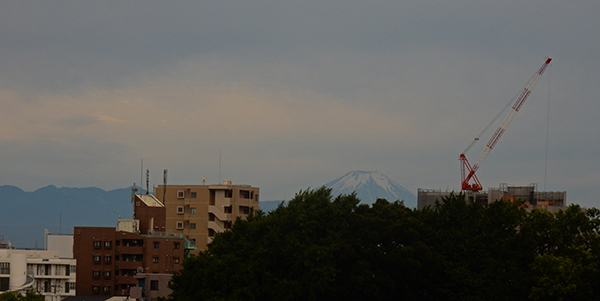 おはよー。昨日は沢山のメッセージをありがとう。東京・練馬より富士山を望みつつ。