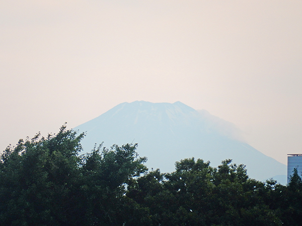 久しぶりに富士山を見た気がする。東京・練馬より～