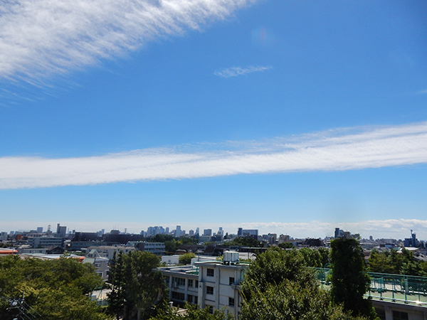 札幌の施術所での脳波測定器デモンストレーションを終えて東京にとんぼ返りすると、まるでミルキーウェイの雲が浮かんでエアコンの必要がない爽やかな東京に一変していました。このまま秋かなー？