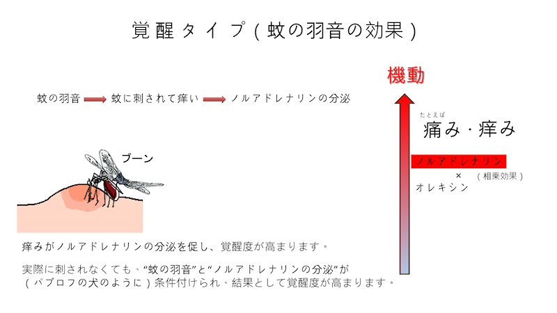 o^CvỉȞʁjBTBSuKbƃ`FW}ṽIt@[ŉBQN̈qẢH̃m}lŃTbƖڊo߂闝RB