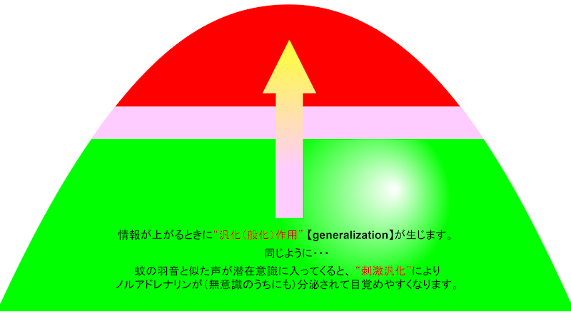 ̉H̎hĉBTBSuKbƃ`FW}ṽIt@[ŉBQN̈qẢH̃m}lŃTbƖڊo߂闝RB