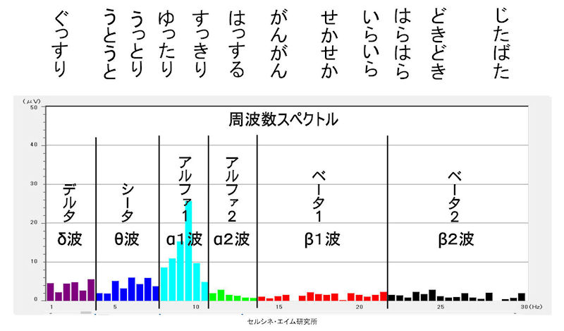 A! group̍쏻ƌNp[X|bgː΋ΌQŃXv[ȂƂ̔]g𑪒BTBS̓ԁu𑵂tVMȘbv̗bƃ][ɂāB