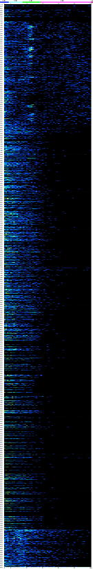 終夜睡眠脳波の測定開始から45分までの分布グラフを縮小した画像。