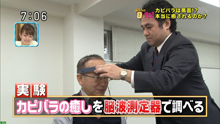 被験者に脳波センサーを装着する和田知浩。日テレ「所さんの目がテン！」〜癒しだけじゃない。カピバラの生態を科学〜５