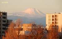 おはよー。朝焼けの富士山が綺麗に見えます。東京・練馬より～
