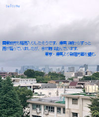 関東地方も梅雨入りしたそうです。練馬は朝からずっと雨が降っていましたが、今17時は止んでいます。東京・練馬より新宿方面を望む。