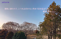 陽気に誘われて、いつもは行かない所まで足を延ばしました。東京・練馬より～