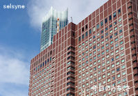 今日のみちくさ