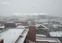 吹雪です。３月19日の東京・練馬より～