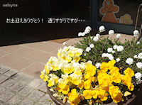 お出迎えありがとう！　通りすがりですが・・・