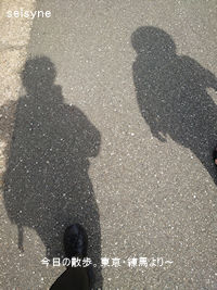 今日の散歩。東京・練馬より～