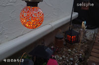 今日のみちくさ