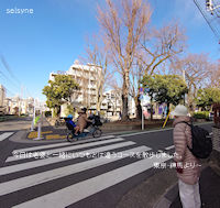 今日は老婆と一緒にいつもとは違うコースを散歩しました。東京・練馬より～