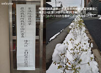 衆議院議員選挙／最高裁判所裁判官国民審査に東京２８区第１４区で投票してきました。ミラノ・コルティナ2026冬季オリンピックも始まったね！