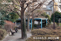 今日のみちくさ。寂れた公園