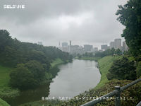 霧雨の中、九段下から霞ヶ関まで皇居を半周歩いてきました。