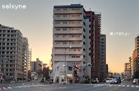 帰ってきたよー