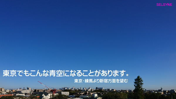 東京でもこんな青空になることがあります。まったりと幸せな日曜午後の東京練馬より新宿方面を望む。