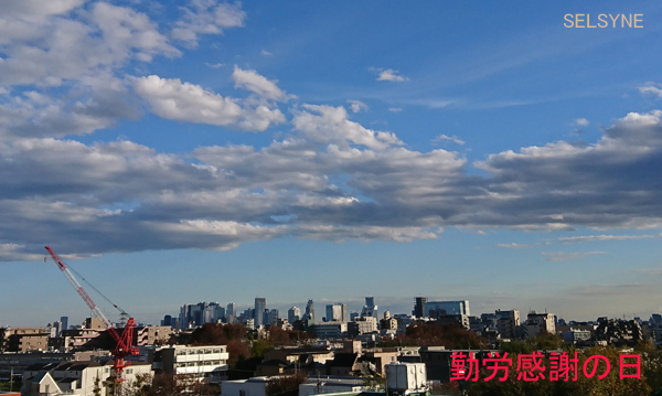 いい天気になったねー。「勤労感謝の日」の東京・練馬より・・・