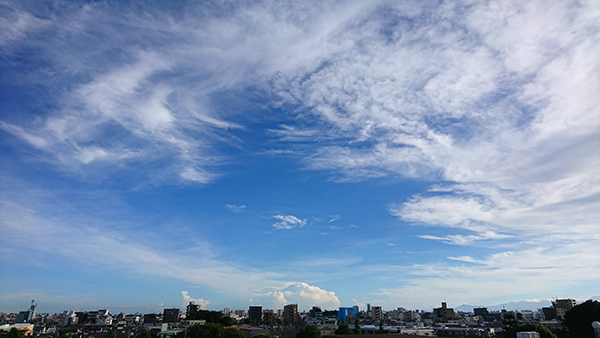 今年前半もそろそろ終わりだね。仕事が一段落してまったりしています。東京・練馬から見える空。