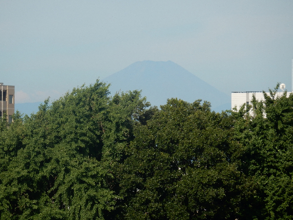 今日も富士山に見守られてる、ありがとう。東京・練馬より