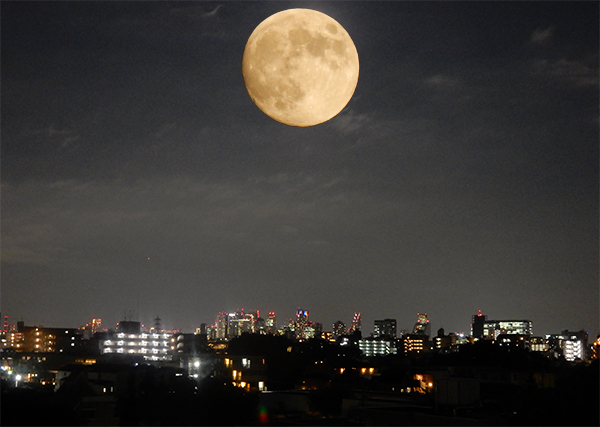素敵な夜をありがとう。合成ですが、月も新宿方面も今晩です。東京・練馬より～