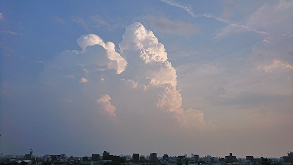 今日も一日ありがとう。今年一番の入道雲が見えてる東京・練馬より～