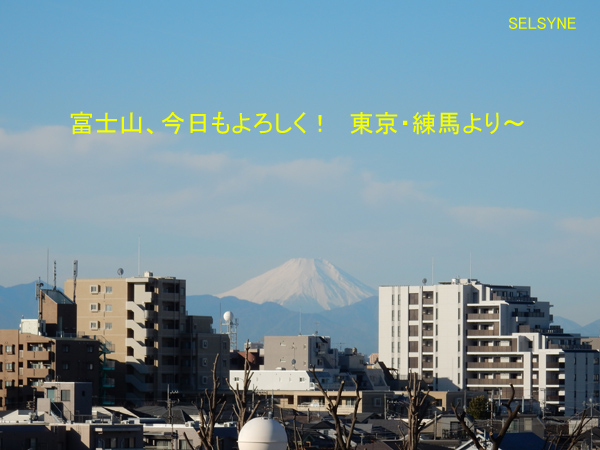 富士山、今日もよろしく！　東京・練馬より～