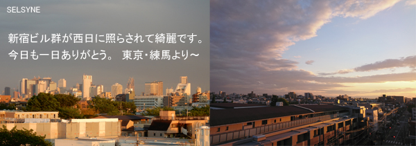 新宿ビル群が西日に照らされて綺麗です。今日も一日ありがとう。　東京・練馬より～