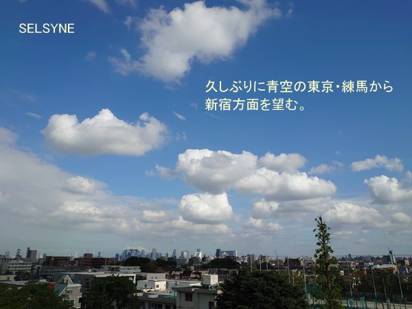 久しぶりに青空の東京・練馬から新宿方面を望む。