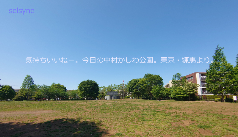 気持ちいいねー。今日の中村かしわ公園。東京・練馬より。