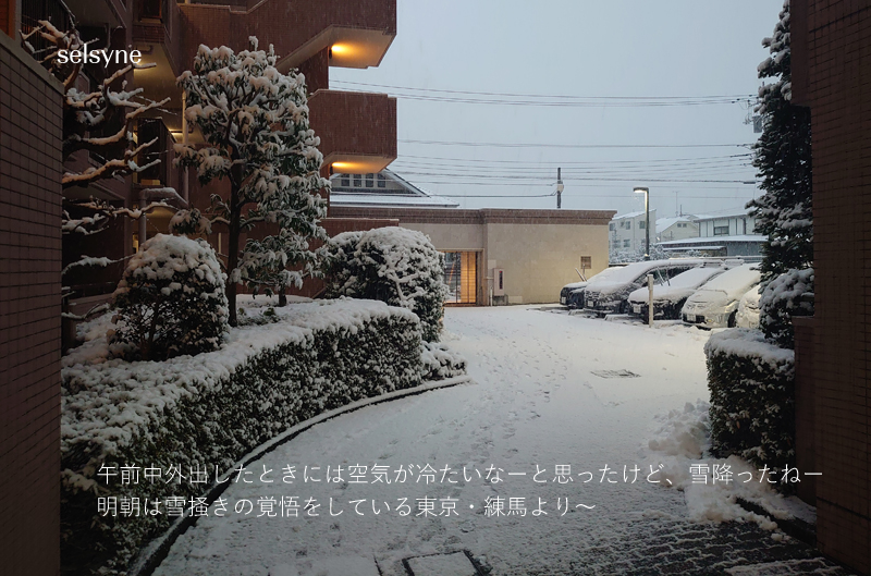 午前中外出したときには空気が冷たいなーと思ったけど、雪降ったねー。明朝は雪掻きの覚悟をしている東京・練馬より～