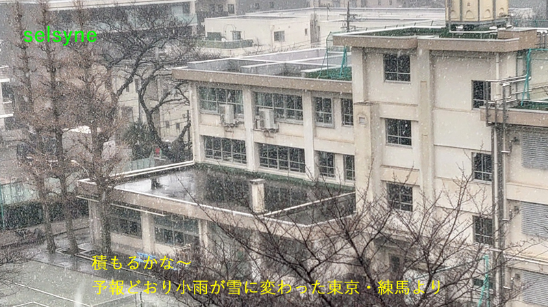 積もるかな～　予報どおり小雨が雪に変わった東京・練馬より