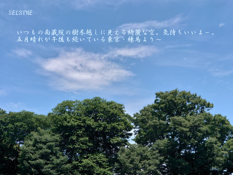 いつもの南蔵院の樹木越しに見える綺麗な空。気持ちいいよー。五月晴れが午後も続いている東京・練馬より～