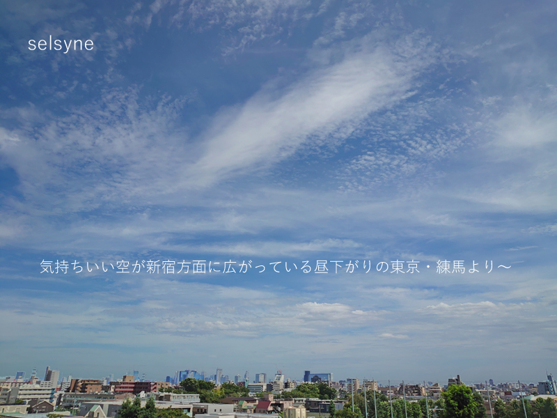 気持ちいい空が新宿方面に広がっている昼下がりの東京・練馬より～