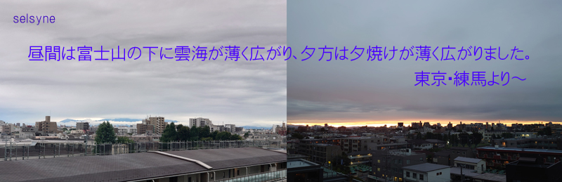 昼間は富士山の下に雲海が薄く広がり、夕方は夕焼けが薄く広がりました。東京・練馬より～