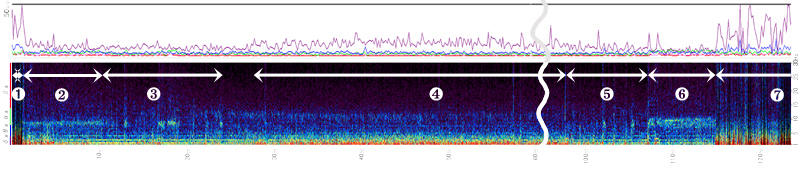 脳波解析PCアプリ「Analyzer＋」で表示した睡眠脳波。