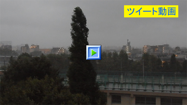 午前5時半頃、台風15号で大雨洪水暴風警報中の東京・練馬より