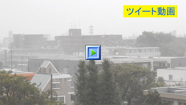 台風15号で大雨洪水暴風警報中の東京・練馬より。午前6時頃～
